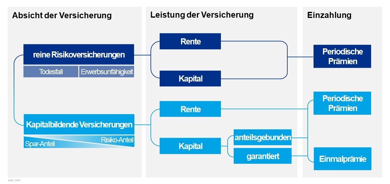 Übersicht über Lebensversicherungen 