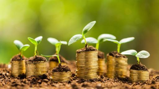 Sustainable Finance